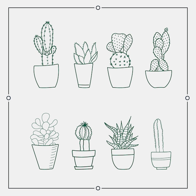 Cactus vert dans un illustrations vectorielles en pot. Vecteur Premium