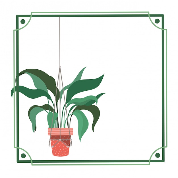 Cadre avec plante d'intérieur sur des cintres en macramé Vecteur Premium