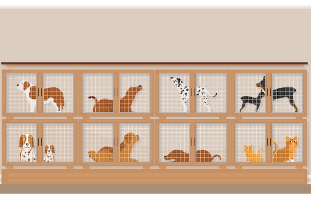 Cages De Chiens Et De Chats à Vendre Dans Une Animalerie