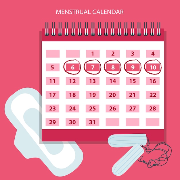 Calendrier Menstruel Avec Tampons En Coton Vecteur Gratuite