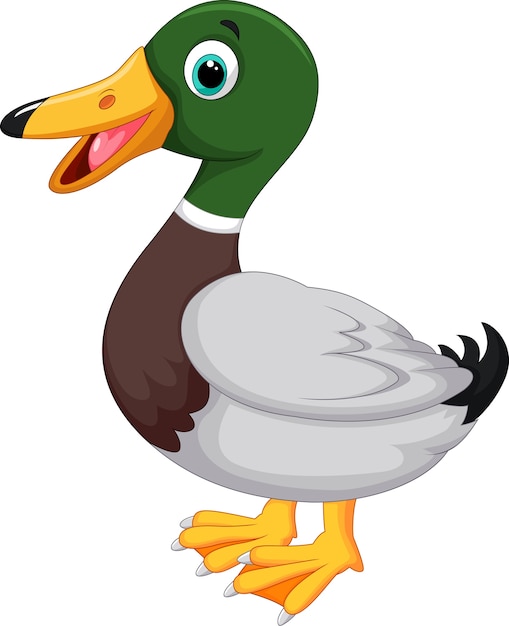  Canard  De Dessin  Anim  Mignon Vecteur Premium