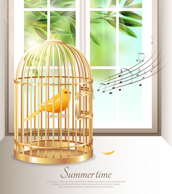 Cage Oiseaux Vecteurs Et Photos Gratuites