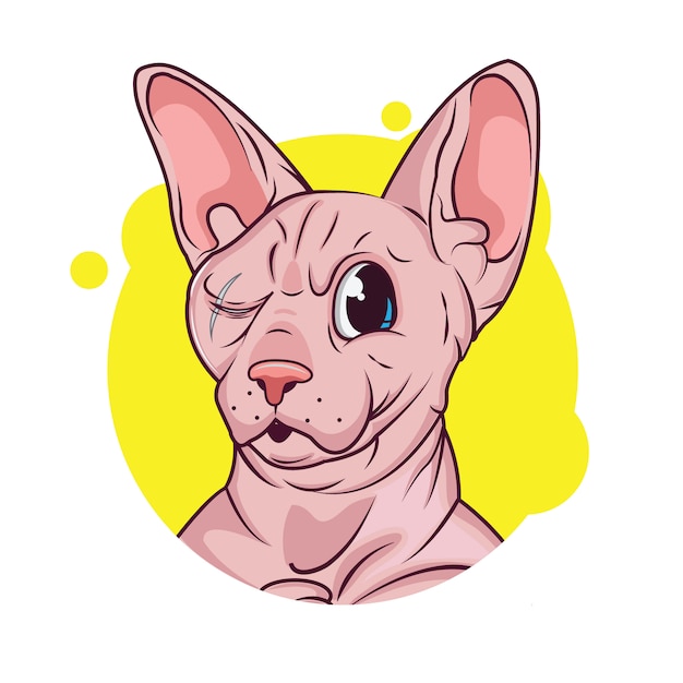 Caricature De Chat Sphynx Vecteur Premium