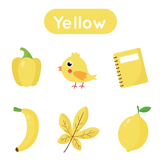 Carte Flash D�apprentissage Des Couleurs Pour Les Enfants