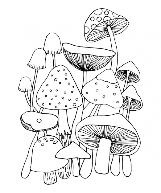 Champignons Doodles Vecteur Pour Cahier De Coloriage Vecteur Premium