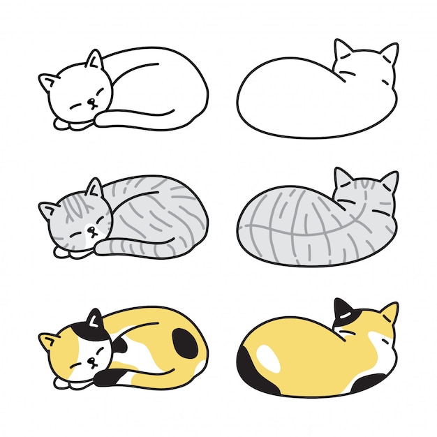 Chat Caractere Chaton Calico Dormir Dessin Anime Illustration Vecteur Premium