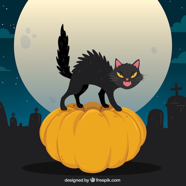 POEMES - PHOTOS - TEXTES sur les chats. - Page 11 Chat-d-39-halloween-dans-le-cimetiere_23-2147695476