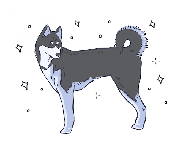 Chiens Husky A La Couleur Noir Et Blanc Télécharger Des