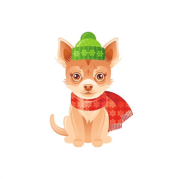 Chihuahua mignon en bonnet et écharpe d'hiver Vecteur Premium