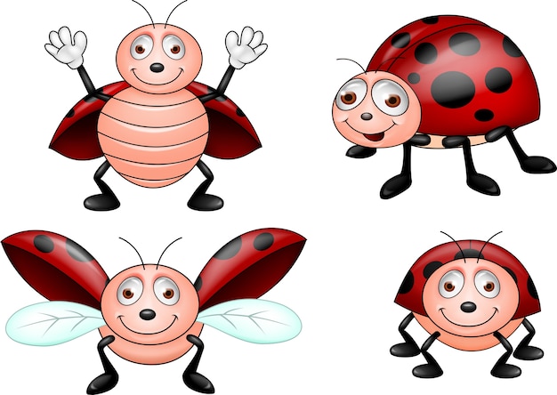 Coccinelle Drole De Dessin Anime Vecteur Premium