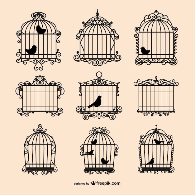 Cage Oiseaux Vecteurs Et Photos Gratuites