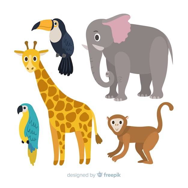 Collection d'animal tropical plat Vecteur gratuit