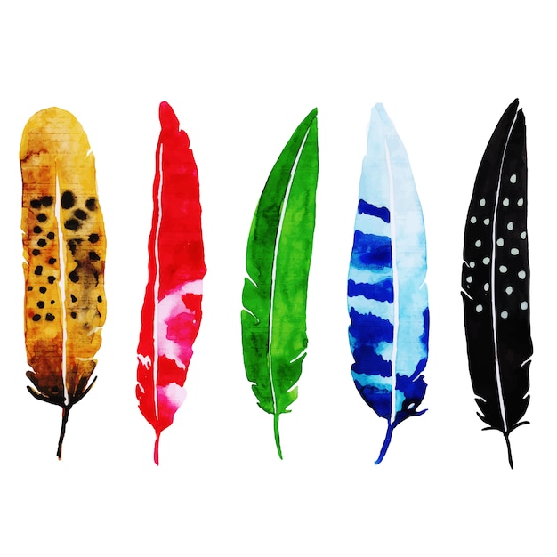 Collection De Belles Plumes Aquarelle Vecteur Premium