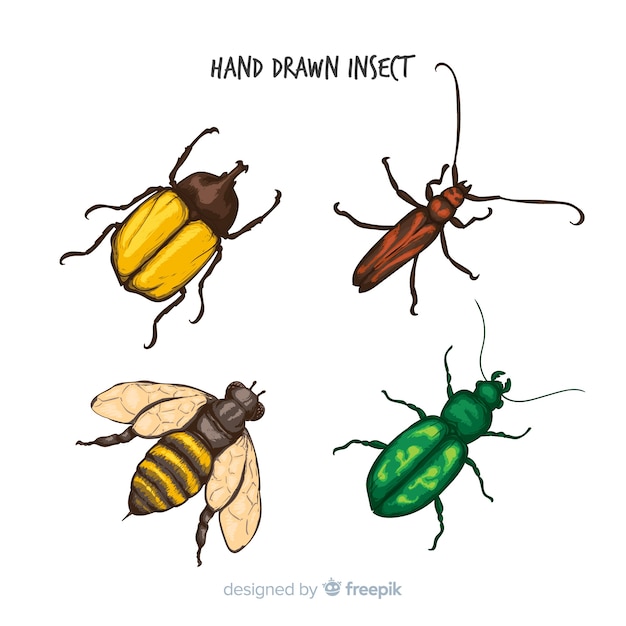 Collection de bugs dessinés à la main Vecteur gratuit