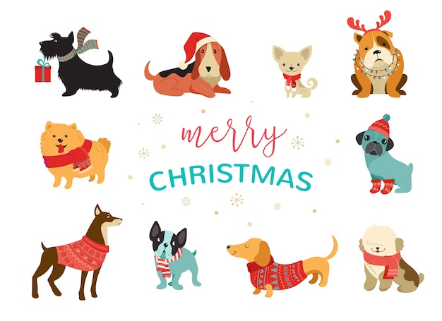 Collection De Chiens De Noel Joyeux Noel S D Animaux Mignons Avec Des Accessoires Tricotes Vecteur Premium