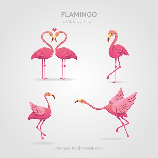 Collection de flamants roses avec différentes postures dans un style plat Vecteur gratuit