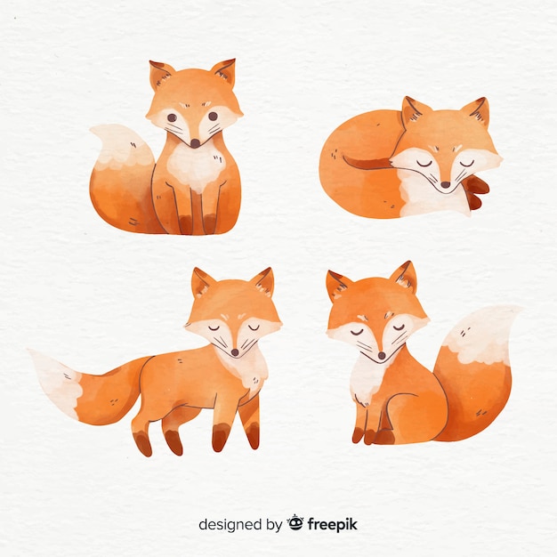 Collection de style aquarelle de renards Vecteur gratuit