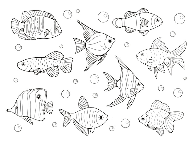 coloriages a imprimer de contour poisson vecteur premium coloriage images bateaux