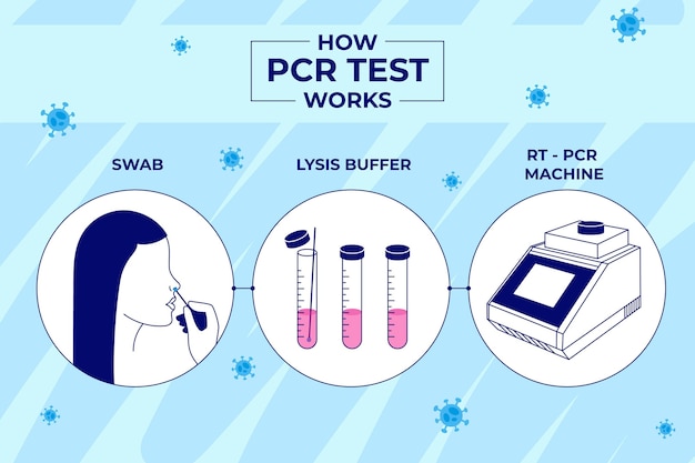 Test Pcr : Finding the Virus - The GNM Solution ...