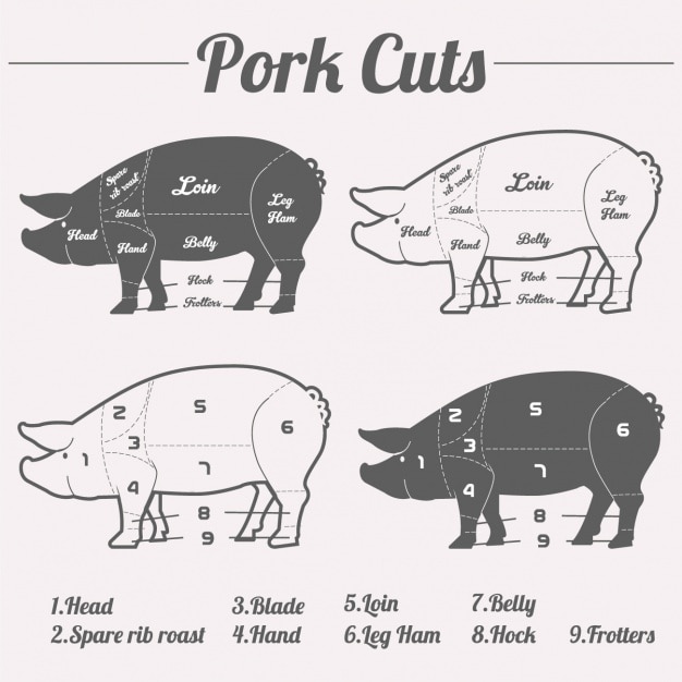 Conception de coupes de porc Vecteur gratuit