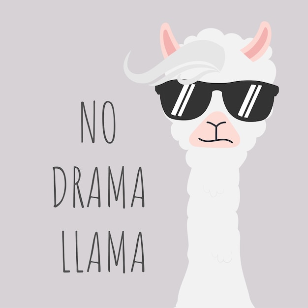 Conception de llama mignonne avec aucune citation de motivation de drame. Vecteur Premium