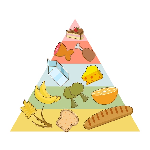 Conception De La Pyramide Alimentaire | Vecteur Gratuite