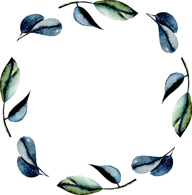 Couronne Cadre Cercle Avec Des Feuilles D Eucalyptus Aquarelle