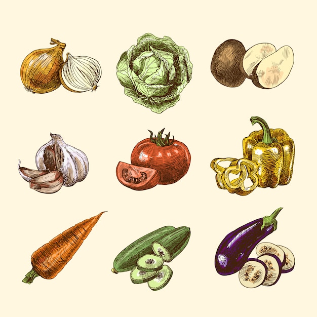 Croquis de légumes set couleur Vecteur gratuit