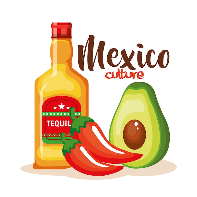 Culture mexicaine définie des icônes Vecteur Premium