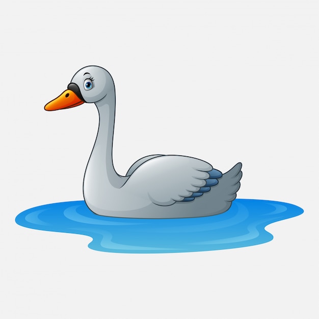 Cygne Beaute Dessin Anime Flotte Sur L Eau Vecteur Premium