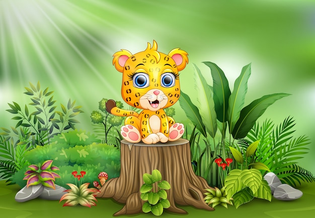 Dessin Anime D Un Bebe Leopard Assis Sur Une Souche Avec Des Plantes Vertes Vecteur Premium