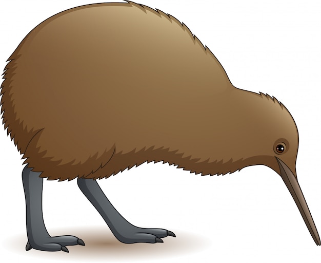 Dessin Animé Drôle Oiseau Kiwi Télécharger Des Vecteurs