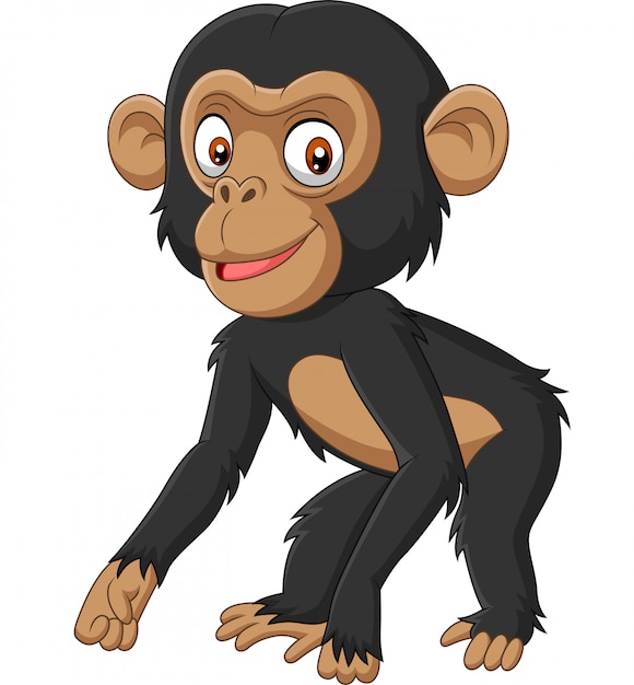 Dessin Anime Mignon Bebe Chimpanze Sur Fond Blanc Vecteur Premium