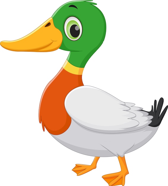  Dessin  Anim  Mignon De Canard  Vecteur Premium