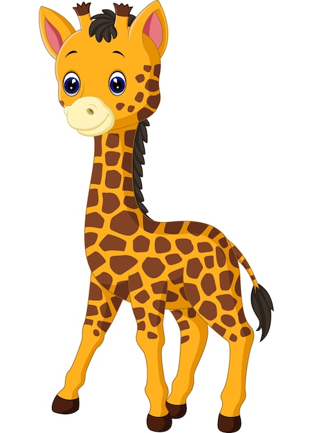  Dessin  Anim  Mignon De Girafe  Vecteur Premium