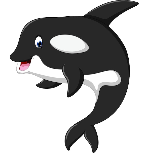  Dessin  Anim  Mignon Orque  Baleine Vecteur Premium