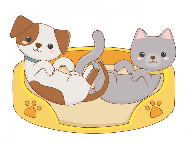 Dessin De Dessin Anime Isole Pour Chat Et Chien Vecteur Premium