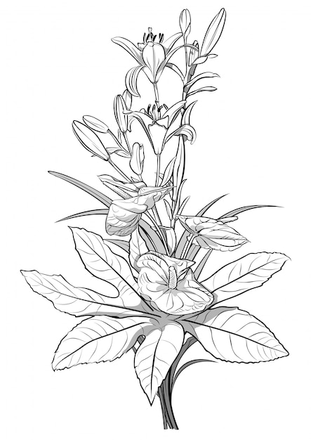 Dessin Noir Et Blanc De Fleurs De Bouquet Vecteur Premium