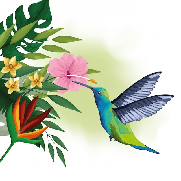 Dessin D Oiseaux Exotiques Et De Fleurs Tropicales Vecteur Gratuite