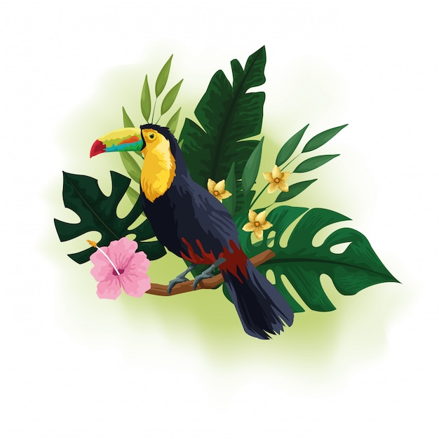  Dessin  D oiseaux  Exotiques  Et De Fleurs Tropicales 