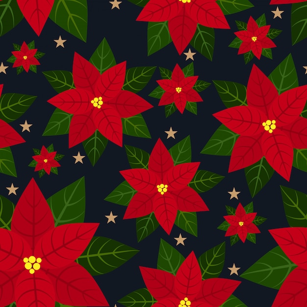 Dessin Sans Soudure De Fleurs De Noël Poinsettia