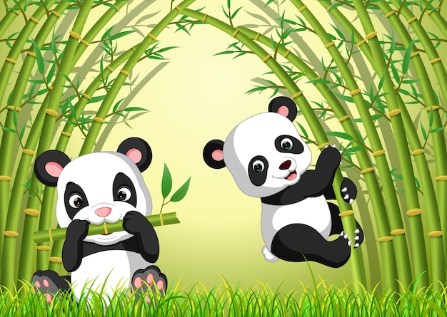 Deux Panda Mignon Dans Une Foret De Bambous Vecteur Premium