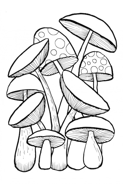doodles aux champignons pour cahier de coloriage vecteur premium comment faire fausses pages neige