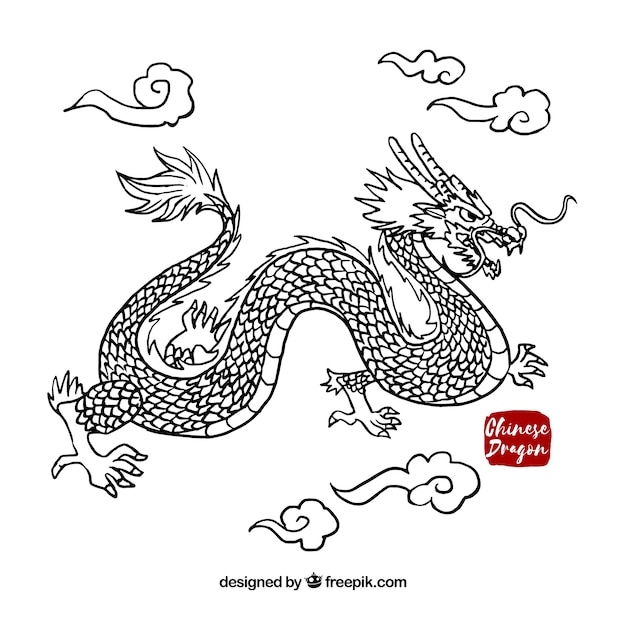 Dragon Chinois Traditionnel Dessine A La Main Vecteur Gratuite