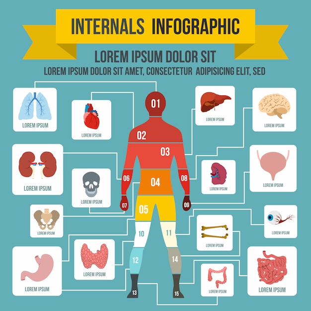Éléments infographiques internes dans le style plat pour n'importe quelle conception Vecteur Premium