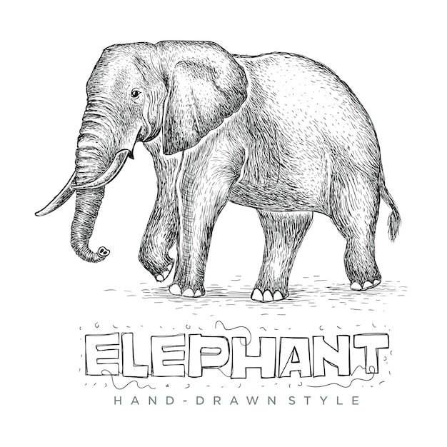 Elephant De Vecteur Marchant Illustration Realiste D Un Animal Dessine A La Main Vecteur Premium