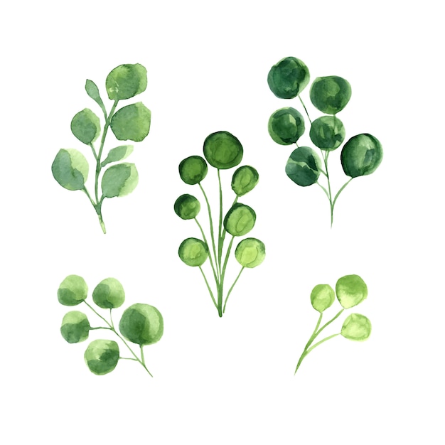 Ensemble aquarelle de feuilles vertes vectorielles. Vecteur gratuit