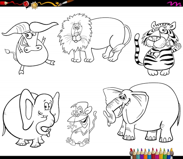 Ensemble De Caractères Animaux Sauvages Livre De Coloriage  Vecteur