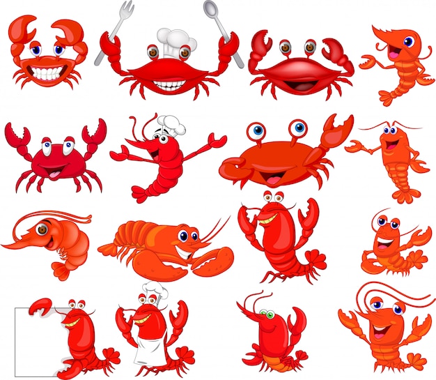 Ensemble De Collection De Dessins De Crevettes Et De Crabes Vecteur Premium