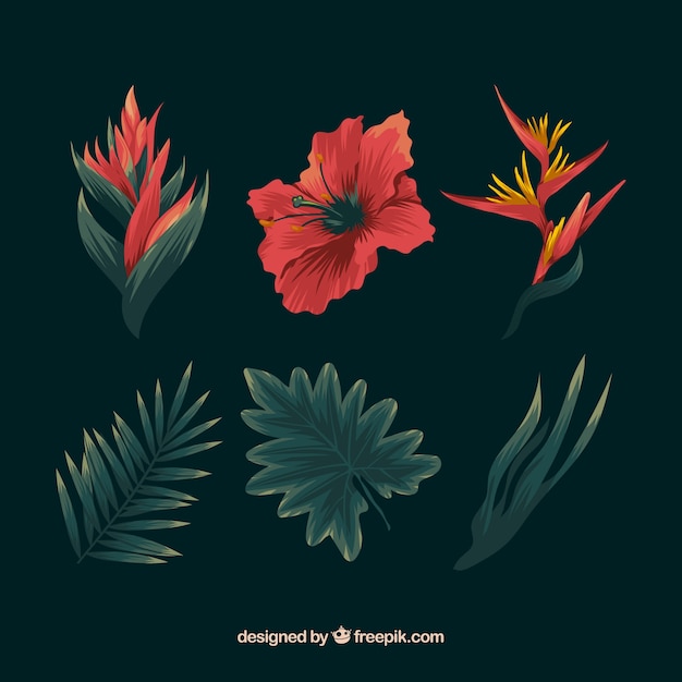 Ensemble de dessinés à la main de fleurs tropicales colorées Vecteur gratuit
